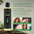 【Buy two get one free】Rosemary Shampoo & Collagen Hair Mask-3LY